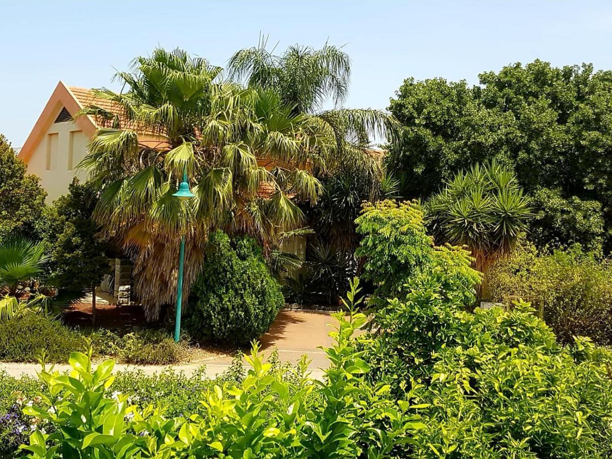 Huge & Private Villa In Kibbutz Dafna Ngoại thất bức ảnh